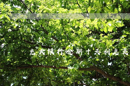 光大银行逾期十天利息是多少钱 光大银行逾期十天利息是多少钱