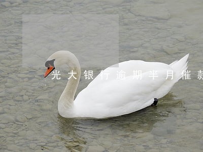 光大银行逾期半月催款 光大银行逾期半月催款