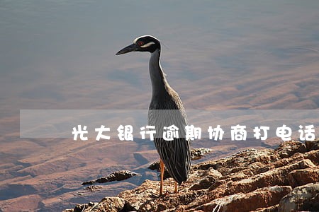 光大银行逾期协商打电话 光大银行逾期协商打电话