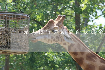 光大银行逾期协商找哪个部门 光大银行逾期协商找哪个部门