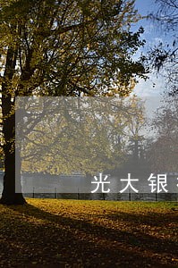 光大银行逾期后办不了信用卡 光大银行逾期后办不了信用卡