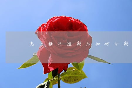 光大银行逾期后如何分期招商 光大银行逾期后如何分期招商