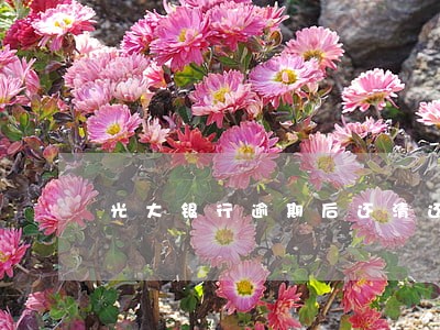 光大银行逾期后还清还能不能开通 光大银行逾期后还清还能不能开通