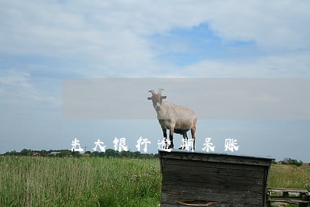 光大银行逾期呆账 光大银行逾期呆账