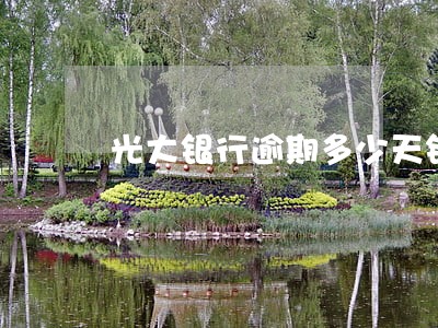 光大银行逾期多少天锁卡 光大银行逾期多少天锁卡