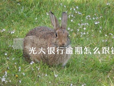 光大银行逾期怎么跟银行协商 光大银行逾期怎么跟银行协商