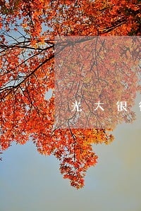 光大银行逾期接收到短信会怎么样 光大银行逾期接收到短信会怎么样