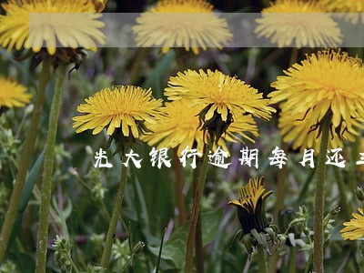 光大银行逾期每月还三百有用吗