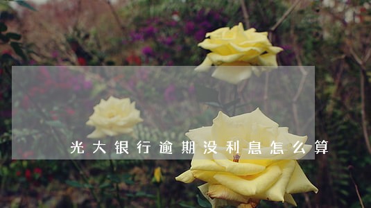 光大银行逾期没利息怎么算 光大银行逾期没利息怎么算