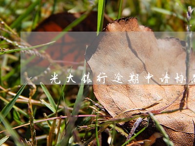 光大银行逾期申请协商 光大银行逾期申请协商