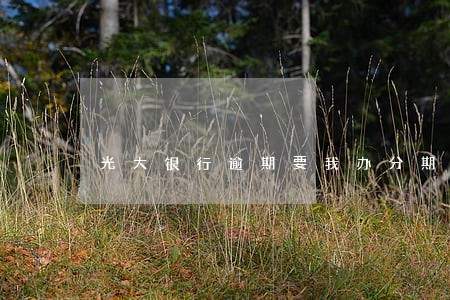 光大银行逾期要我办分期 光大银行逾期要我办分期