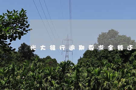 光大银行逾期要求全额还款吗