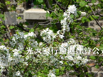 光大银行逾期计算公式 光大银行逾期计算公式