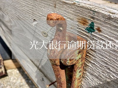 光大银行逾期贷款还款 光大银行逾期贷款还款