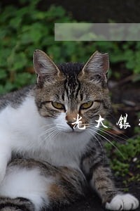 光大银行逾期还最低卡片能用吗 光大银行逾期还最低卡片能用吗