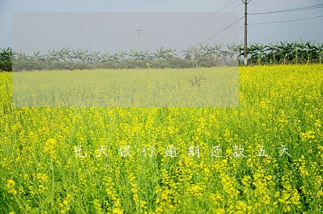 光大银行逾期还款五天 光大银行逾期还款五天