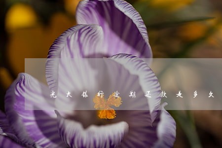 光大银行逾期还款是多久 光大银行逾期还款是多久
