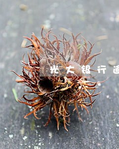 光大银行逾期还款签减免协议 光大银行逾期还款签减免协议
