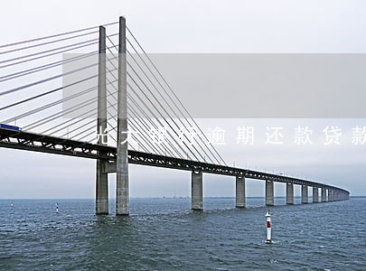 光大银行逾期还款贷款 光大银行逾期还款贷款