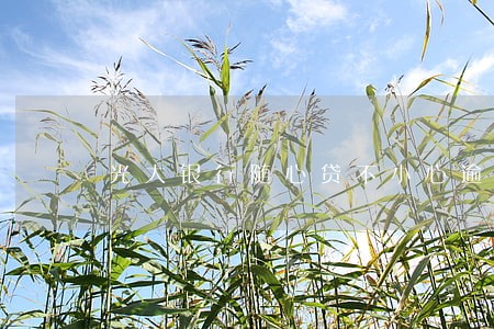 光大银行随心贷不小心逾期 光大银行随心贷不小心逾期