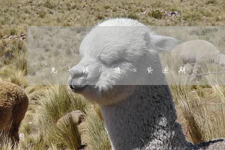 光大银行随心贷逾期 光大银行随心贷逾期