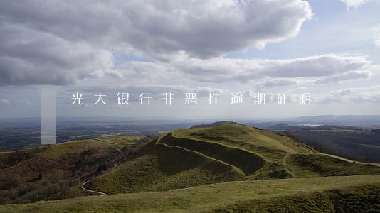 光大银行非恶性逾期证明 光大银行非恶性逾期证明
