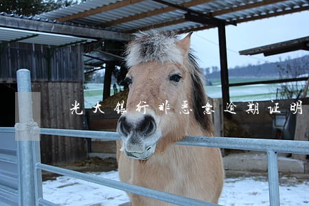 光大银行非恶意逾期证明样本 光大银行非恶意逾期证明样本