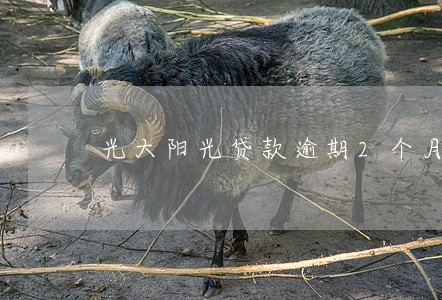 光大阳光贷款逾期2个月 光大阳光贷款逾期2个月