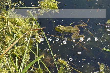 光大面签芝麻信用逾期 光大面签芝麻信用逾期
