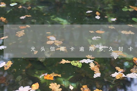 光头信用卡逾期多久封卡 光头信用卡逾期多久封卡