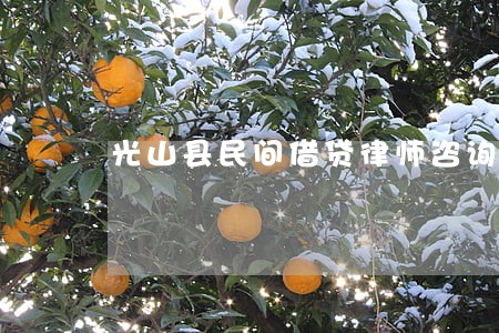 光山县民间借贷律师咨询电话 光山县民间借贷律师咨询电话