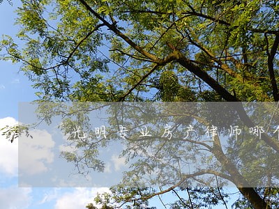 光明专业房产律师哪个好 光明专业房产律师哪个好