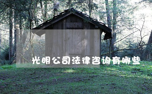 光明公司法律咨询有哪些 光明公司法律咨询有哪些