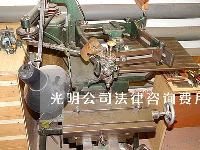 光明公司法律咨询费用 光明公司法律咨询费用
