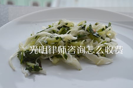 光明律师咨询怎么收费 光明律师咨询怎么收费