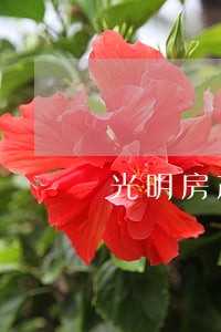 光明房产律师胜诉率高 光明房产律师胜诉率高