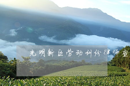 光明新区劳动纠纷律师查询 光明新区劳动纠纷律师查询