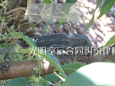 光明空运合同纠纷律师 光明空运合同纠纷律师