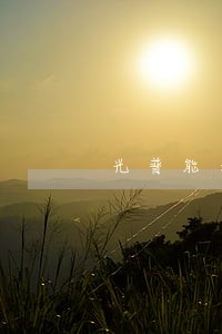 光普能老板娘离婚 光普能老板娘离婚