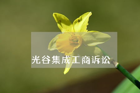 光谷集成工商诉讼 光谷集成工商诉讼