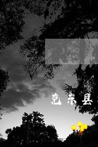 克东县涉外仲裁免费法律咨询热线