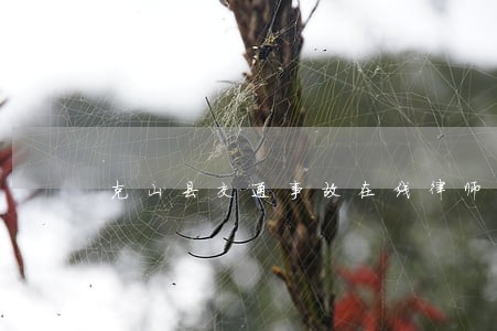 克山县交通事故在线律师咨询 克山县交通事故在线律师咨询
