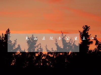 克山法院办公室主任