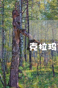克拉玛依侯小山律师 克拉玛依侯小山律师