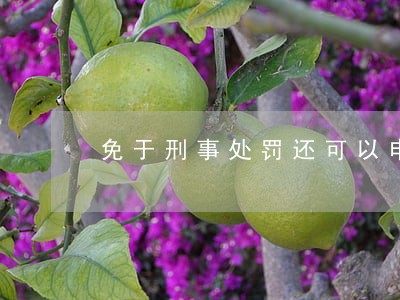 免于刑事处罚还可以申请律师执业 免于刑事处罚还可以申请律师执业