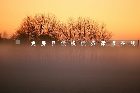 免房县债权债务律师在线咨询