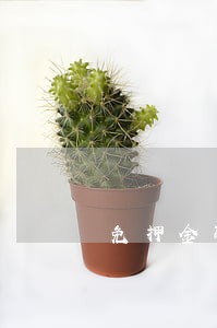 免押金骑行法律关系 免押金骑行法律关系