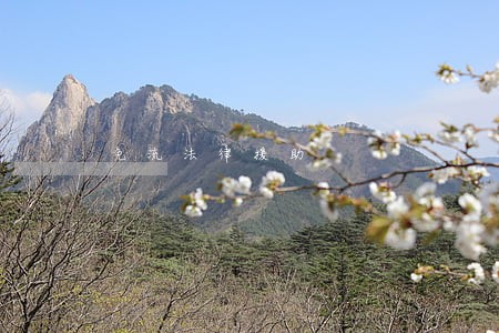 免流法律援助 免流法律援助