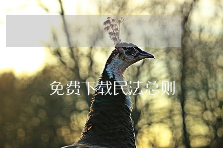 免费下载民法总则 免费下载民法总则