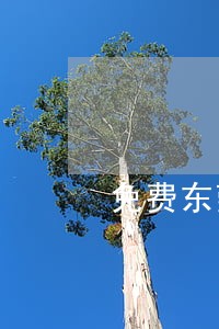 免费东莞法律顾问律师在线咨询 免费东莞法律顾问律师在线咨询